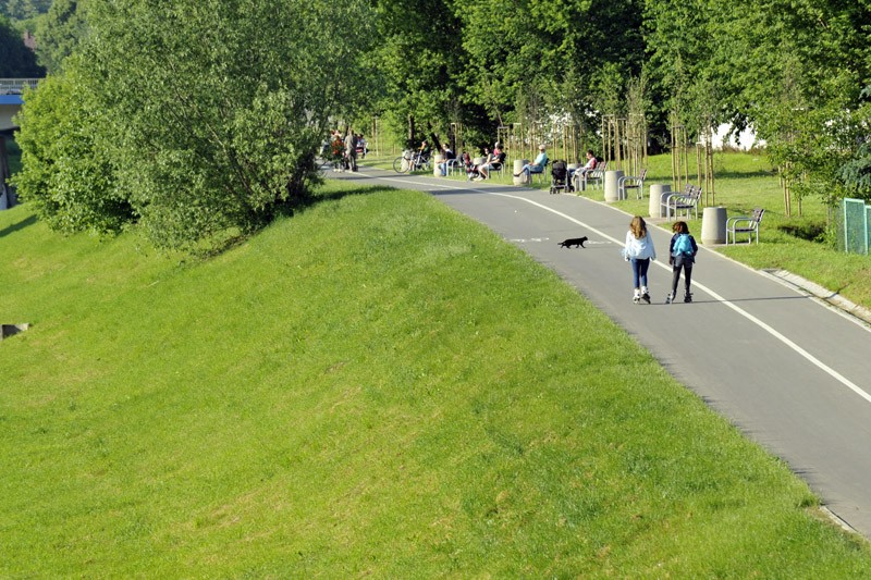 Nowa ścieżka rowerowa wzdłuż Wisłoka, fot. Bogdan Szczupaj